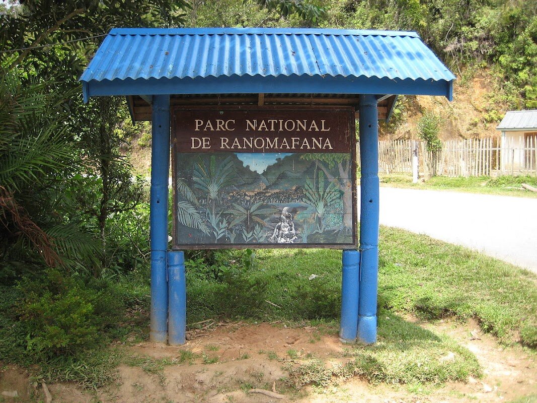 Randonnée Parc National de Ranomafana – Ranomafana (photo 1)