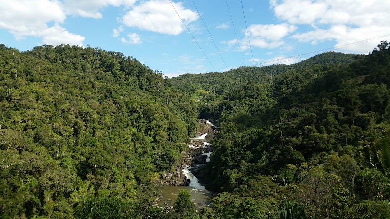 Randonnée Parc National de Ranomafana – Ranomafana (photo 2)