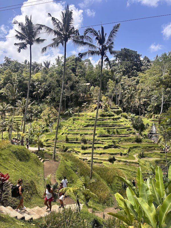 Randonnée rizières Tegalalang – Tegallalang, Bali (photo 1)