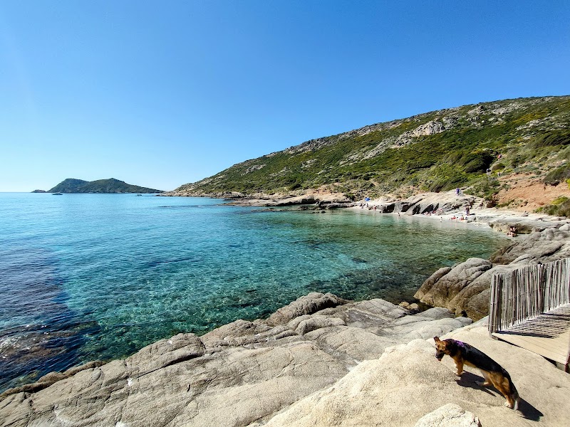 Randonnée sur le Sentier du Littoral vers Cap Taillat – Plage de l'Escalet, 83350 Ramatuelle (photo 2)