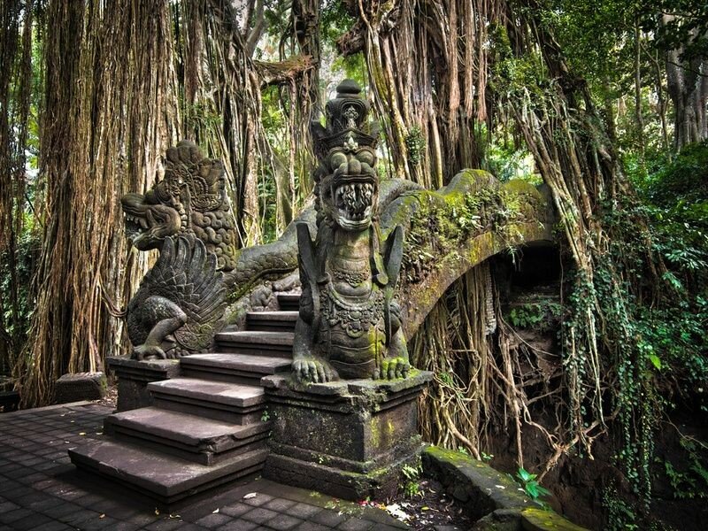 Sacred Monkey Forest Sanctuary – Forêt Singes Ubud (photo 1)