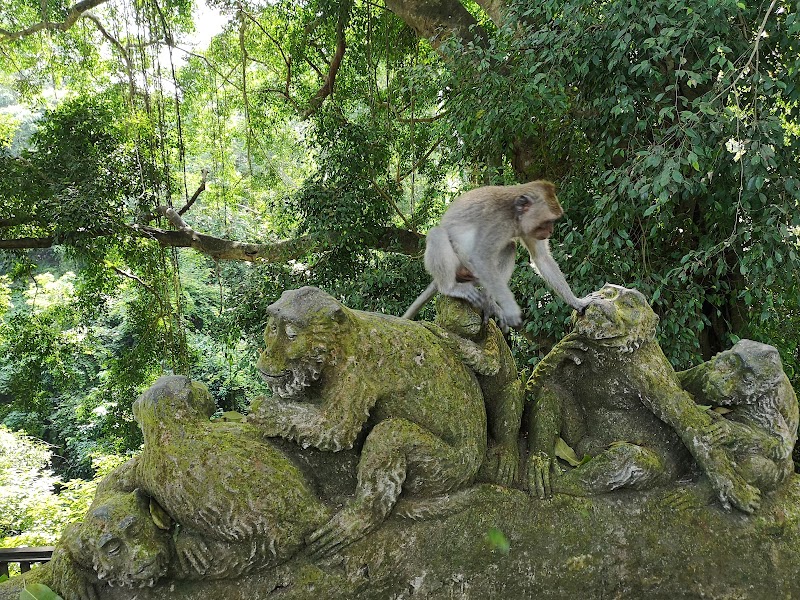 Sacred Monkey Forest Sanctuary – Forêt Singes Ubud (photo 3)