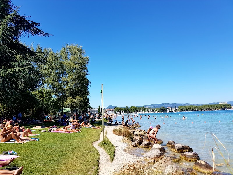 Session pédalos sur le lac d'Annecy – Plage des Marquisats, 74000 Annecy (photo 2)