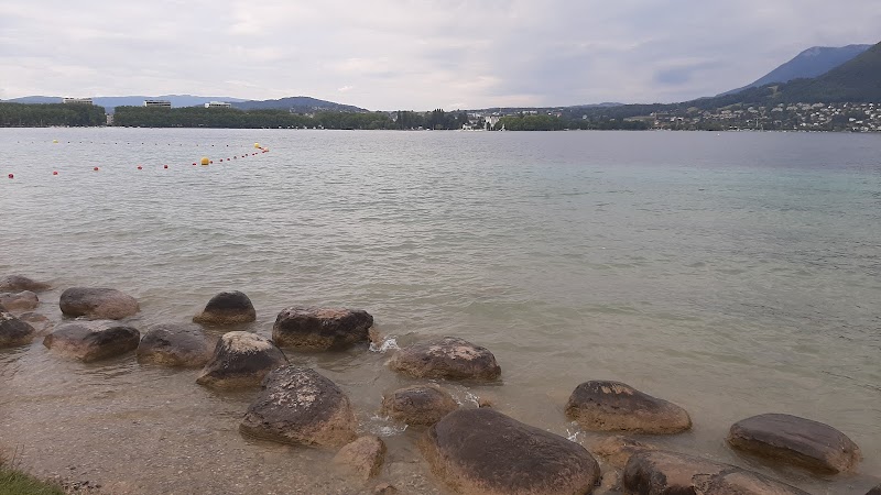 Session pédalos sur le lac d'Annecy – Plage des Marquisats, 74000 Annecy (photo 3)
