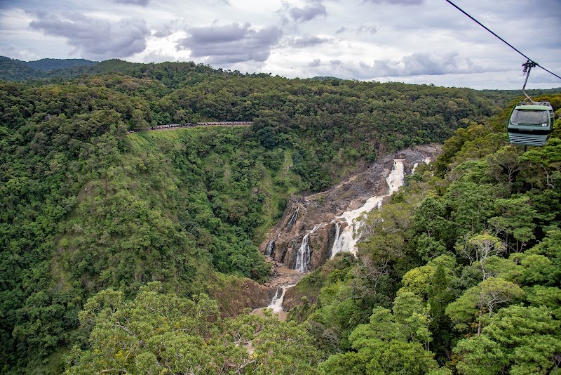 Skyrail Rainforest Cableway Experience – Barron Gorge, QLD, Australie (photo 2)