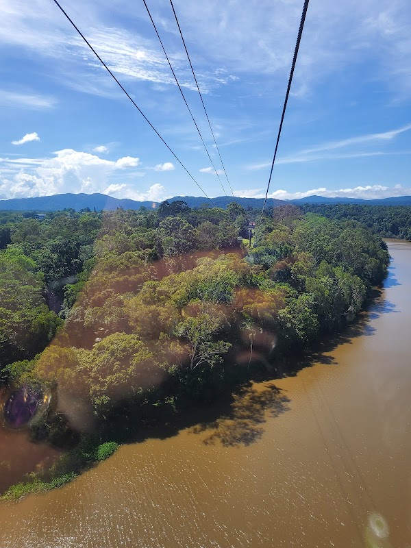 Skyrail Rainforest Cableway Experience – Barron Gorge, QLD, Australie (photo 3)