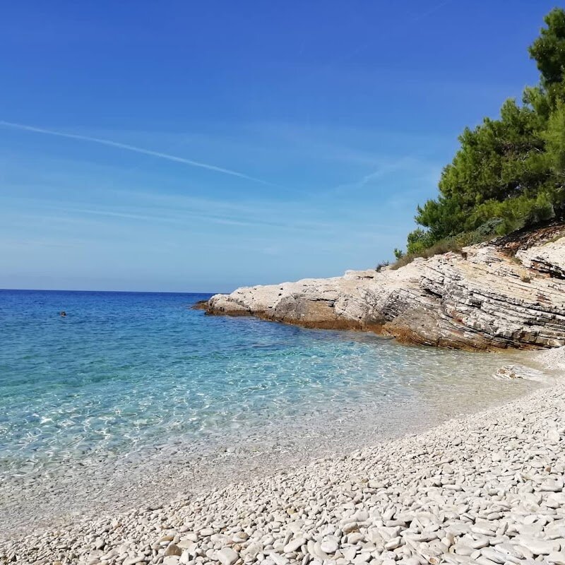Snorkeling à Plovanije Beach – Plava Laguna, Poreč (photo 1)