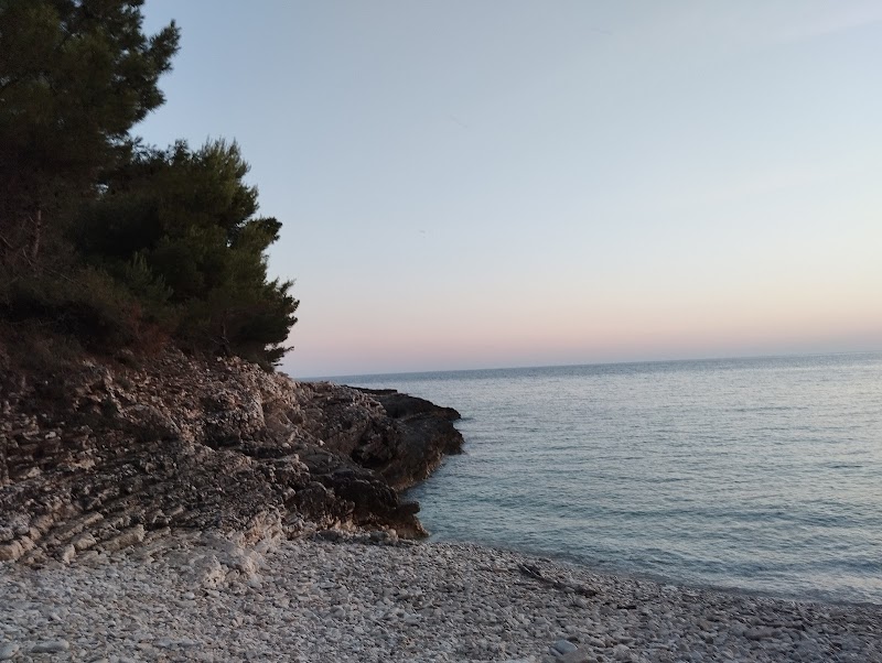 Snorkeling à Plovanije Beach – Plava Laguna, Poreč (photo 2)