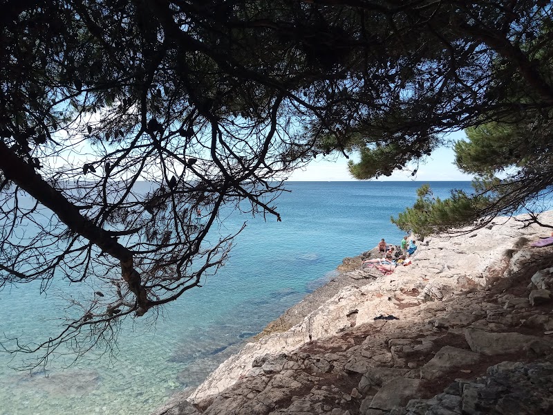 Snorkeling à Plovanije Beach – Plava Laguna, Poreč (photo 3)