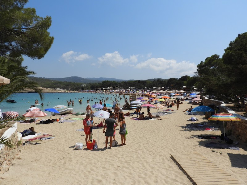 Snorkeling côte ouest (Cala Bassa/Conta) – Cala Bassa, Ibiza (photo 2)