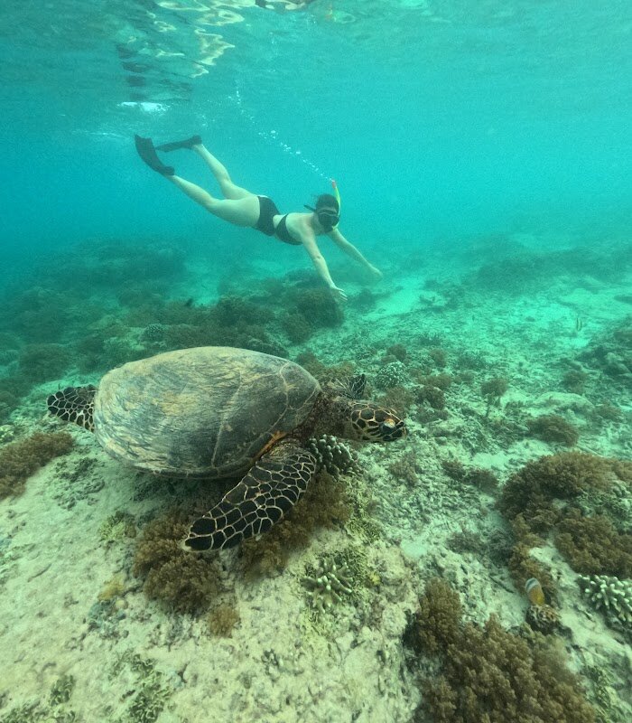 Snorkeling Gili Trawangan – Gili Trawangan (photo 1)
