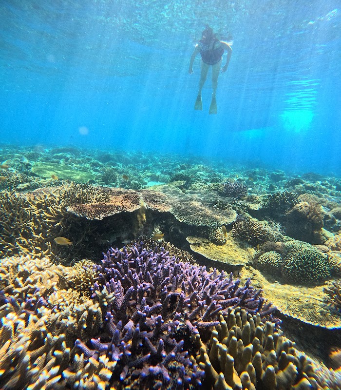 Snorkeling Gili Trawangan – Gili Trawangan (photo 3)