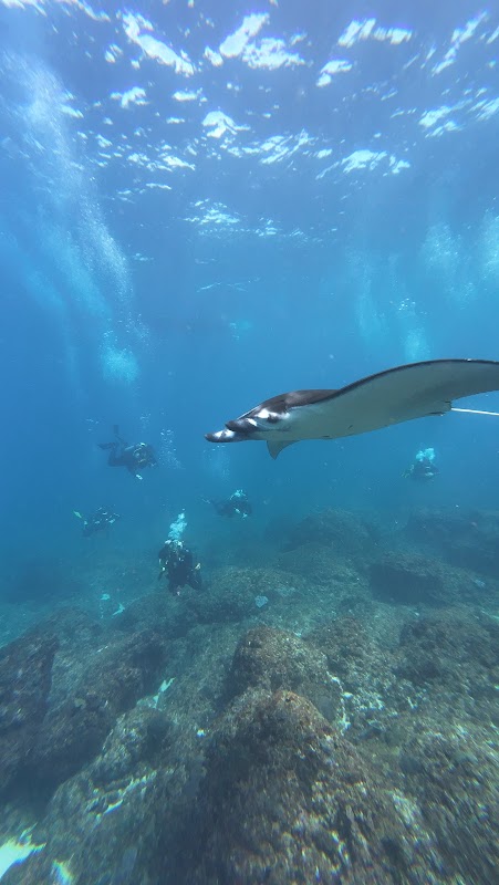 Snorkeling initiation Sanur Beach – Sanur Beach (photo 3)