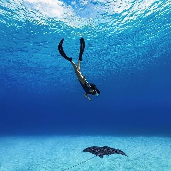 Snorkeling Playa del Carmen – Playa del Carmen Beach, Mexique (photo 1)