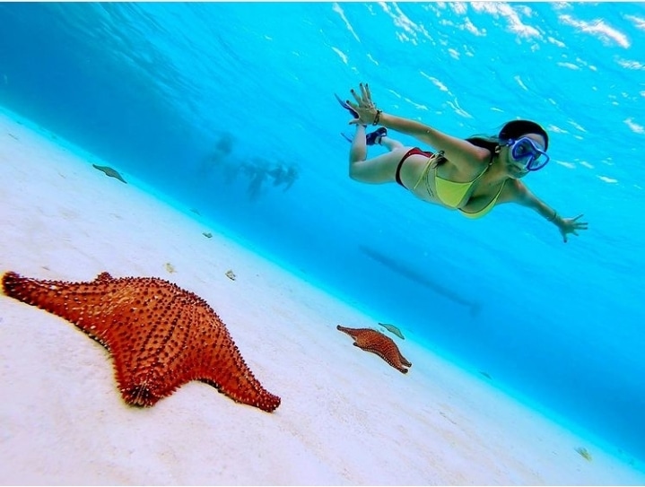 Snorkeling Playa del Carmen – Playa del Carmen Beach, Mexique (photo 3)