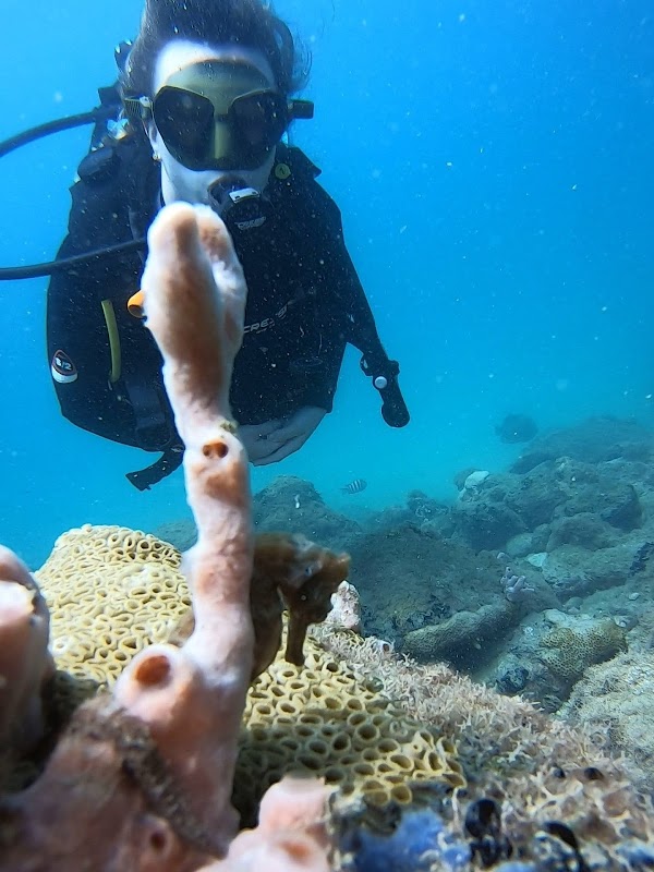 Snorkeling Vila do Abraão – Vila do Abraão, Ilha Grande (photo 3)
