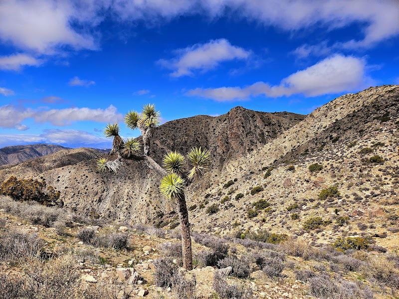Sunset à Keys View – Joshua Tree NP, Californie (photo 2)