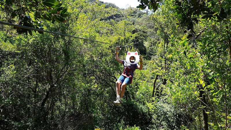 Superman Zipline à Monteverde – Monteverde (photo 2)
