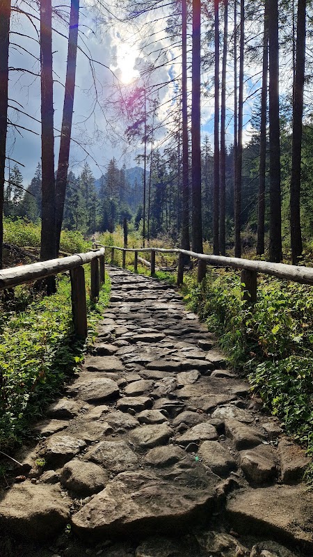 Tatras - Randonnée Zakopane Morskie Oko – Zakopane, Tatras, Pologne (photo 3)