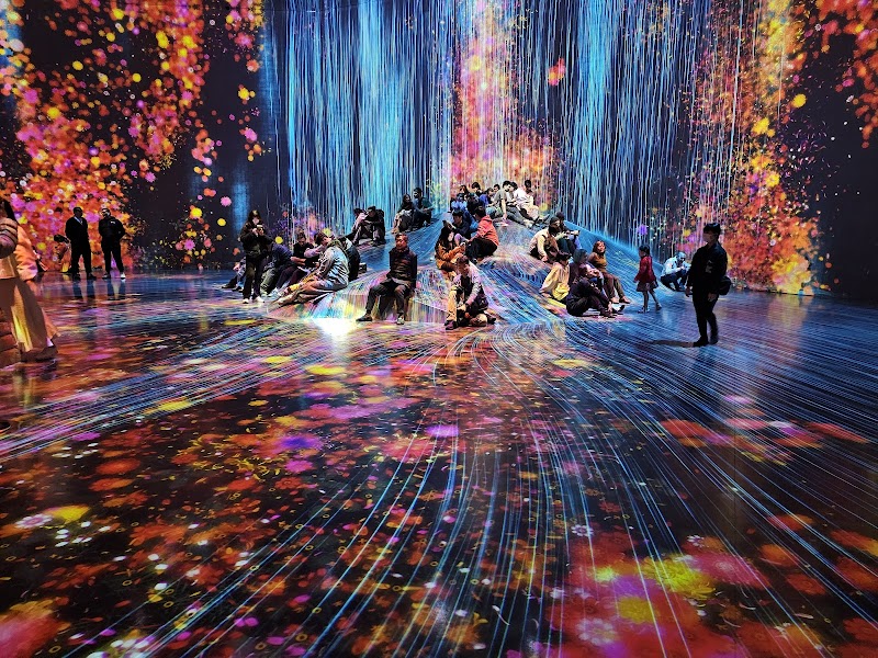 TeamLab Borderless – Azabudai Hills, Tokyo (photo 3)