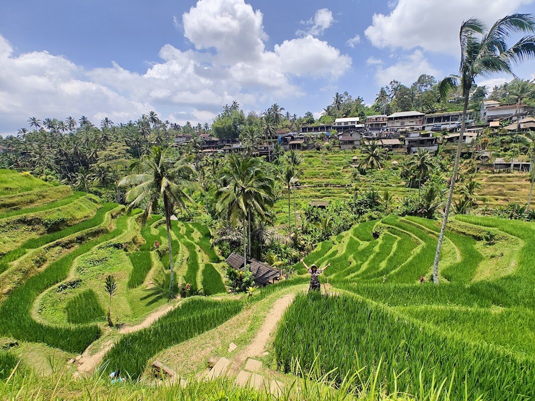 Tegallalang Rice Terraces Visit – Tegallalang, Bali (photo 1)