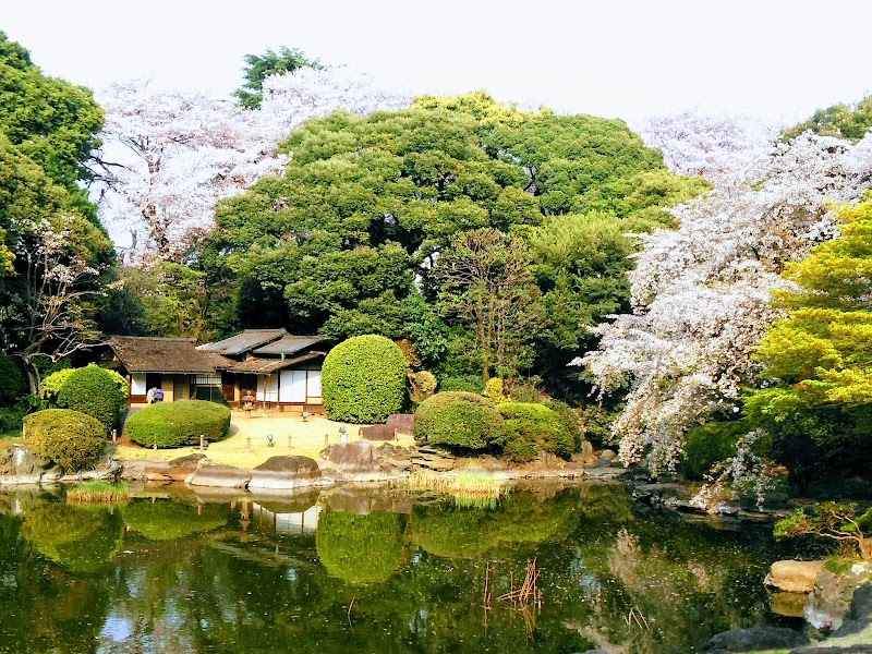 Tokyo National Museum – Tokyo National Museum, Ueno Park, Tokyo (photo 3)