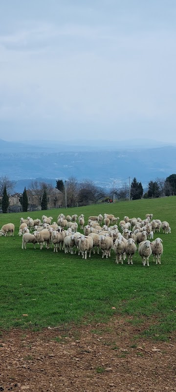Tončić – Oprtalj (photo 3)