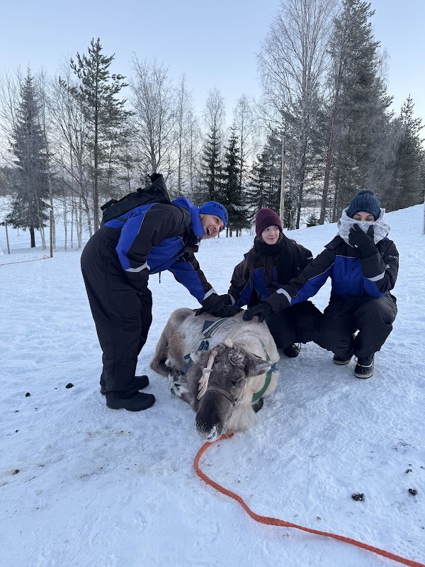 Tour d'observation des aurores boréales – Zone rurale hors Rovaniemi (photo 3)