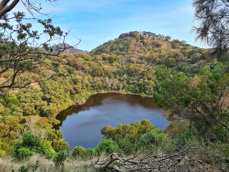 Tower Hill Wildlife Reserve – Tower Hill Wildlife Reserve, Warrnambool (photo 2)