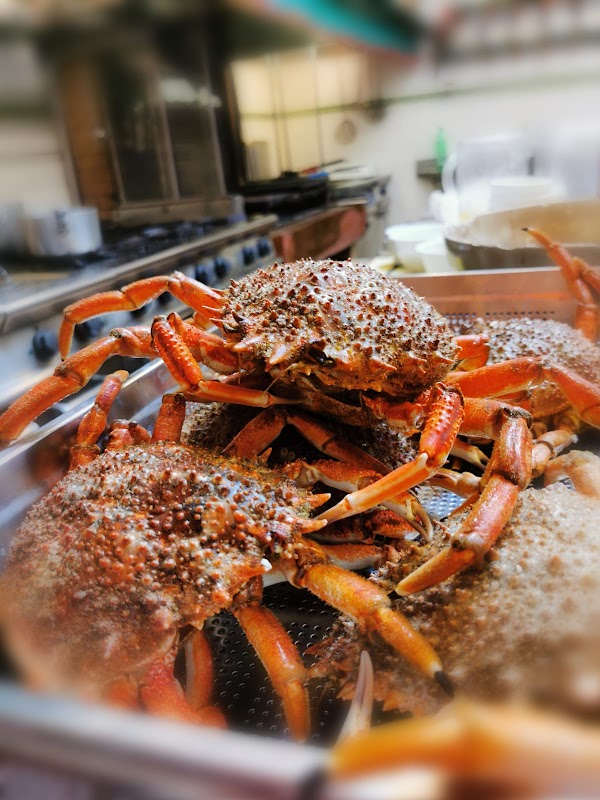 Trattoria da Romano – Via Baldassarre Galuppi 221, Burano, 30142 Venezia (photo 3)