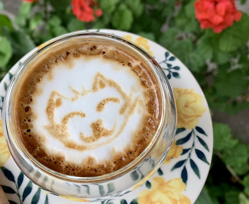 Tres Gatos – La Floresta, Quito (photo 2)