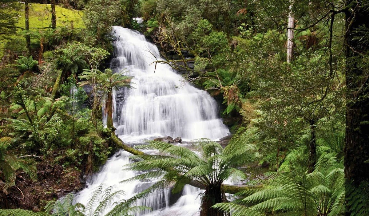 Triplet Falls – Triplet Falls, Great Otway National Park (photo 1)