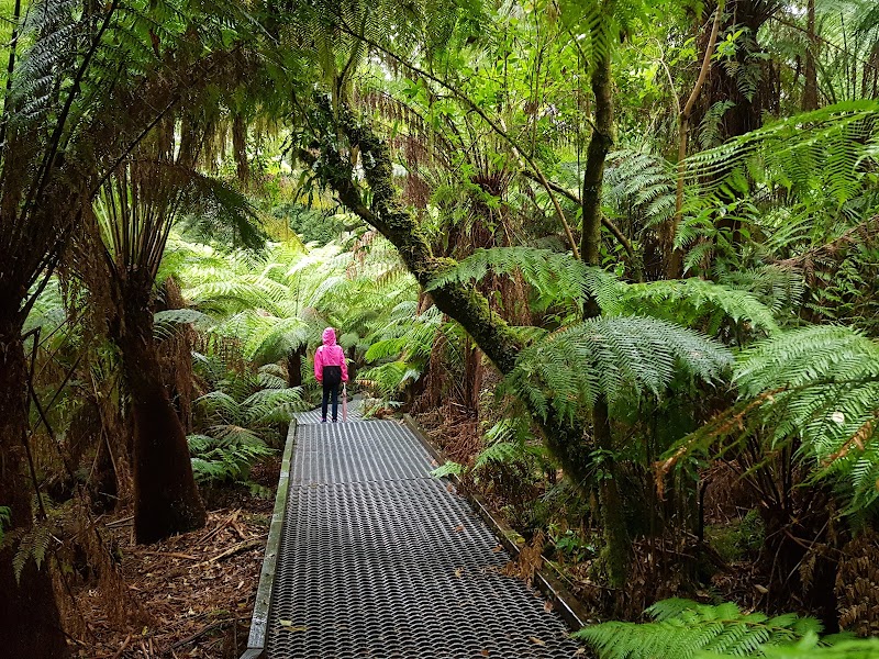 Triplet Falls – Triplet Falls, Great Otway National Park (photo 3)
