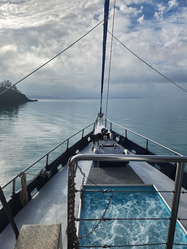 True Blue Sailing (official site) – Coral Sea Marina, southern marina M arm (jetty, 1-3 Shingley Dr, Airlie Beach QLD 4802, Australia (photo 3)