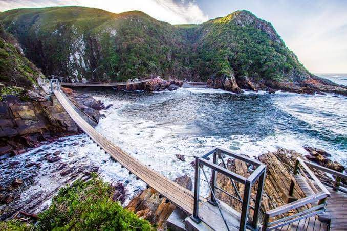 Tsitsikamma National Park – Storms River, Route des Jardins (photo 2)