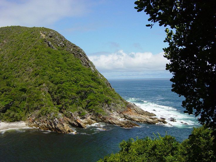 Tsitsikamma National Park – Storms River, Route des Jardins (photo 3)