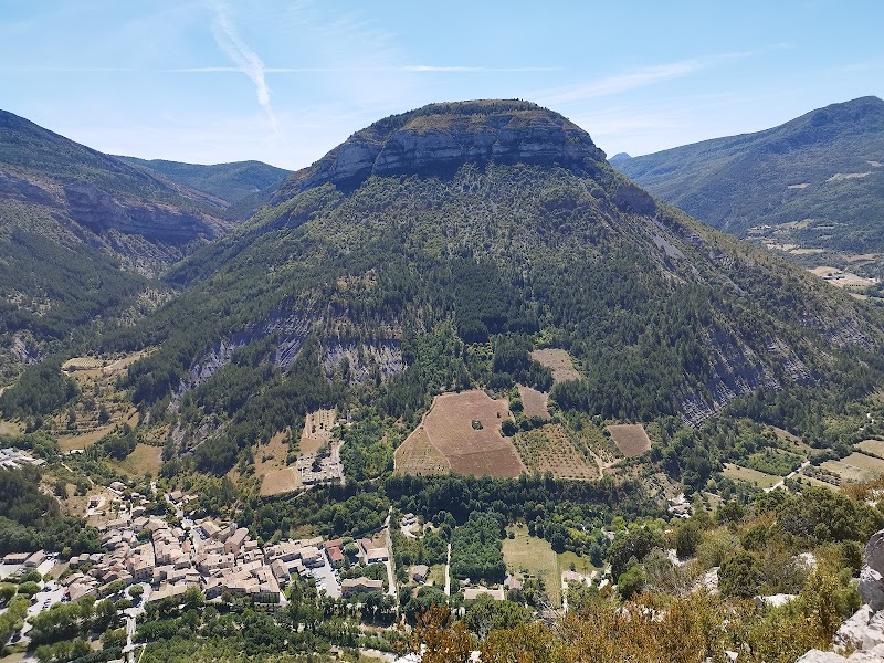 Visite Centre d'interprétation et point de vue vautours – Grazalema - Office du parc naturel (photo 3)