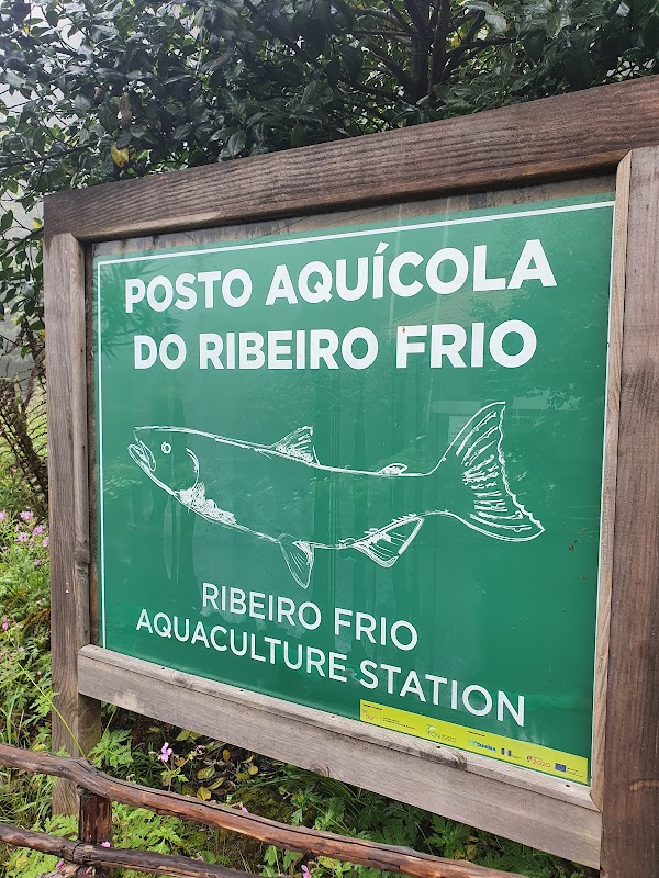 Visite de l'Élevage de Truites de Ribeiro Frio – Ribeiro Frio, Madère, Portugal (photo 3)