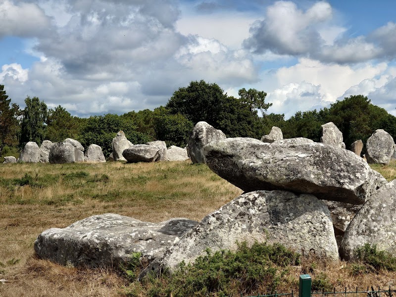 Visite des Alignements de Carnac – Alignements de Carnac, 56340 Carnac (photo 2)