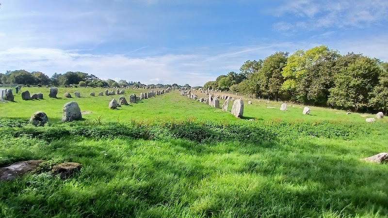 Visite des Alignements de Carnac – Alignements de Carnac, 56340 Carnac (photo 3)