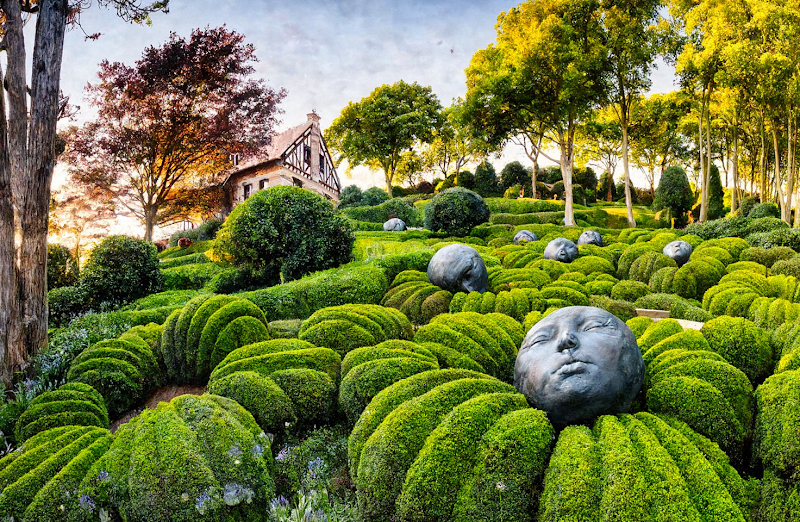 Visite des Jardins d'Étretat – Sommet de la falaise d'Aval, 76790 Étretat (photo 2)
