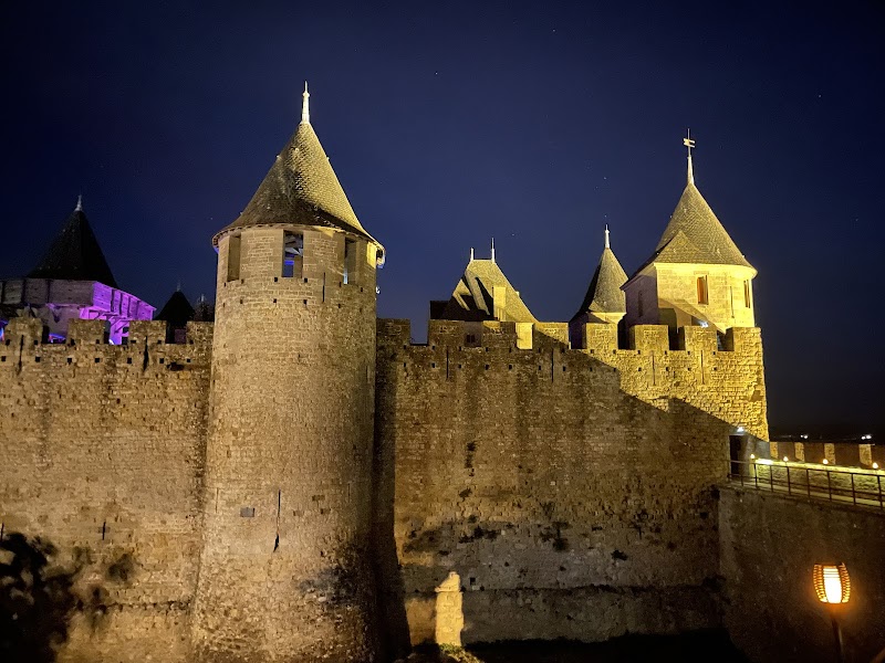Visite du Château Comtal et des Remparts – Château Comtal, Cité Médiévale de Carcassonne (photo 3)