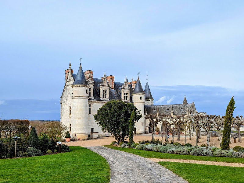 Visite du Château Royal d'Amboise – Montée de l'Emir Abd el Kader, 37400 Amboise (photo 2)