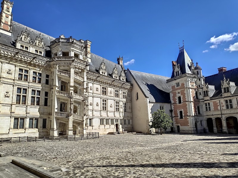 Visite du Château Royal de Blois – 6 Place du Château, 41000 Blois (photo 2)