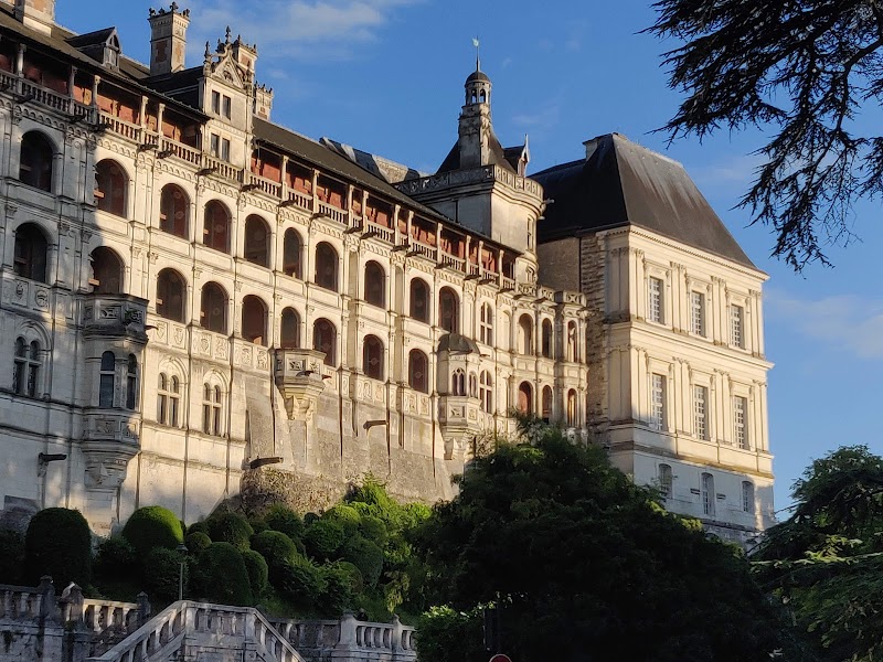 Visite du Château Royal de Blois – 6 Place du Château, 41000 Blois (photo 3)