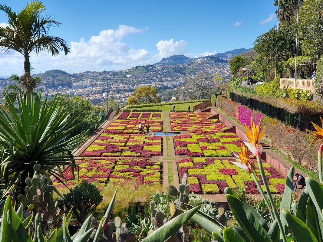 Visite du Jardin Botanique de Madère – Jardim Botânico da Madeira, Caminho do Meio, Quinta do Bom Sucesso, Funchal, Madère, Portugal (photo 1)