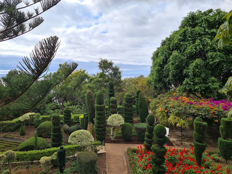 Visite du Jardin Botanique de Madère – Jardim Botânico da Madeira, Caminho do Meio, Quinta do Bom Sucesso, Funchal, Madère, Portugal (photo 2)