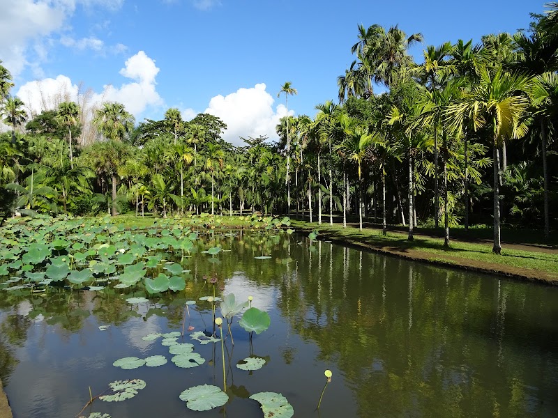 Visite du Jardin Botanique de Pamplemousses – Pamplemousses, nord de l'île (photo 2)