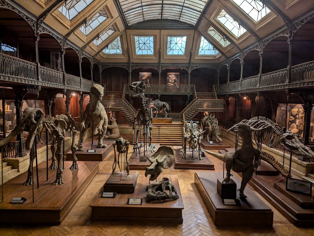 Visite du Musée Cinéma et Miniature – Musée Cinéma et Miniature, 60 Rue Saint-Jean, 69005 Lyon (photo 1)