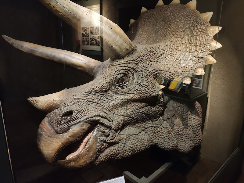 Visite du Musée Cinéma et Miniature – Musée Cinéma et Miniature, 60 Rue Saint-Jean, 69005 Lyon (photo 3)